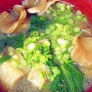 舞茸と小松菜のお味噌汁
